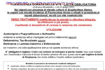 FLAVESCENZA DORATA DELLA VITE - avviso terzo trattamento